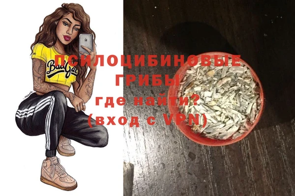 дмт Россошь