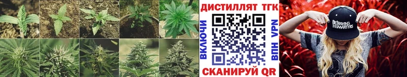 где можно купить блэк спрут ссылка ТГК вейп с тгк Волоколамск