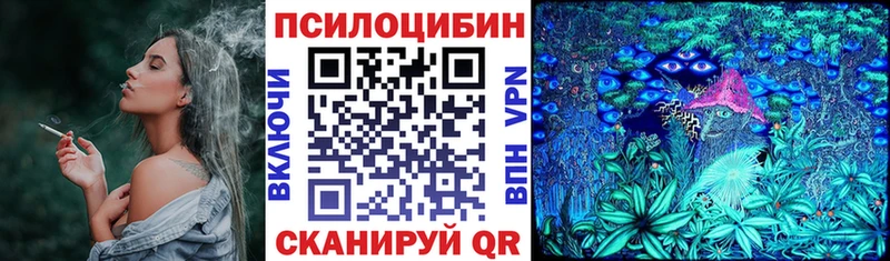 Псилоцибиновые грибы Psilocybine cubensis  Волоколамск 